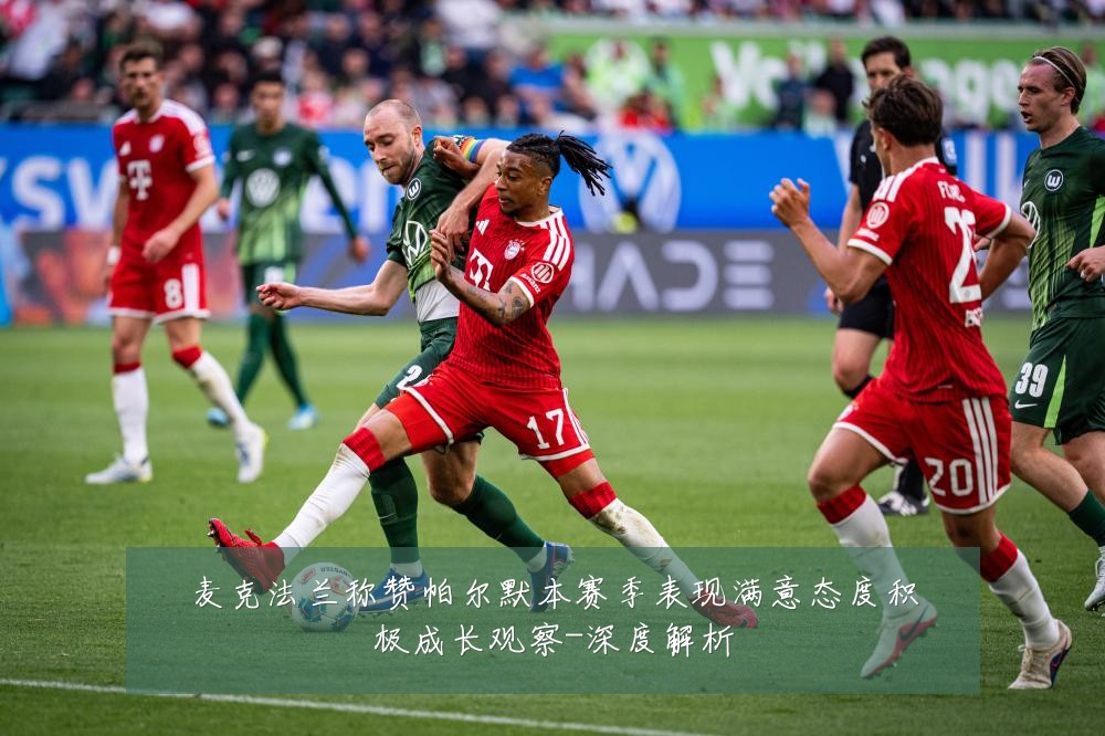麦克法兰称赞帕尔默本赛季表现满意态度积极成长观察-深度解析
